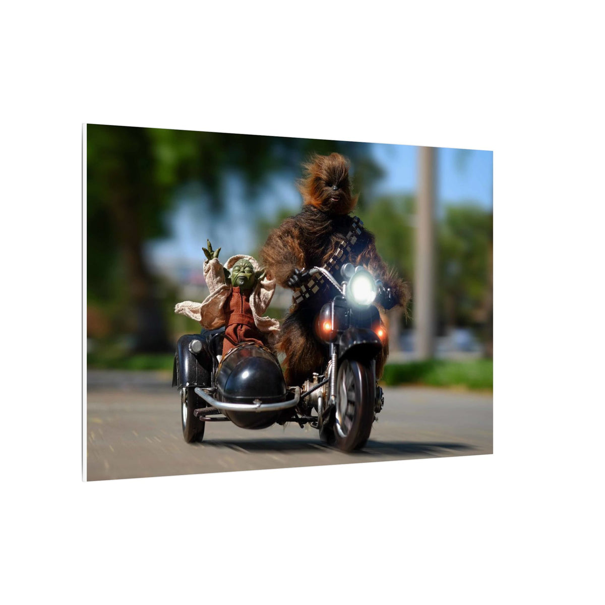 Matte Canvas, Stretched, 0.75" (Multi-Size)
